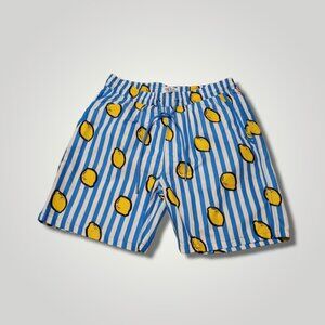 Mr. Swim men's blue white stripe Lemons swim suit Size L New